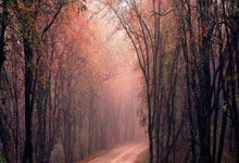 开云体育-法国羽毛球队横扫日本羽毛球队，桃田贤斗制霸全场，羽坛新王登顶