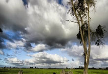 开云体育app-圣西罗警报！AC米兰战术命门连环爆雷皮奥利还剩几枚解药？