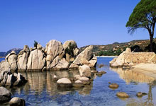 开云体育-铁血热刺痛饮王权球场！94分钟绝平续写不败神话