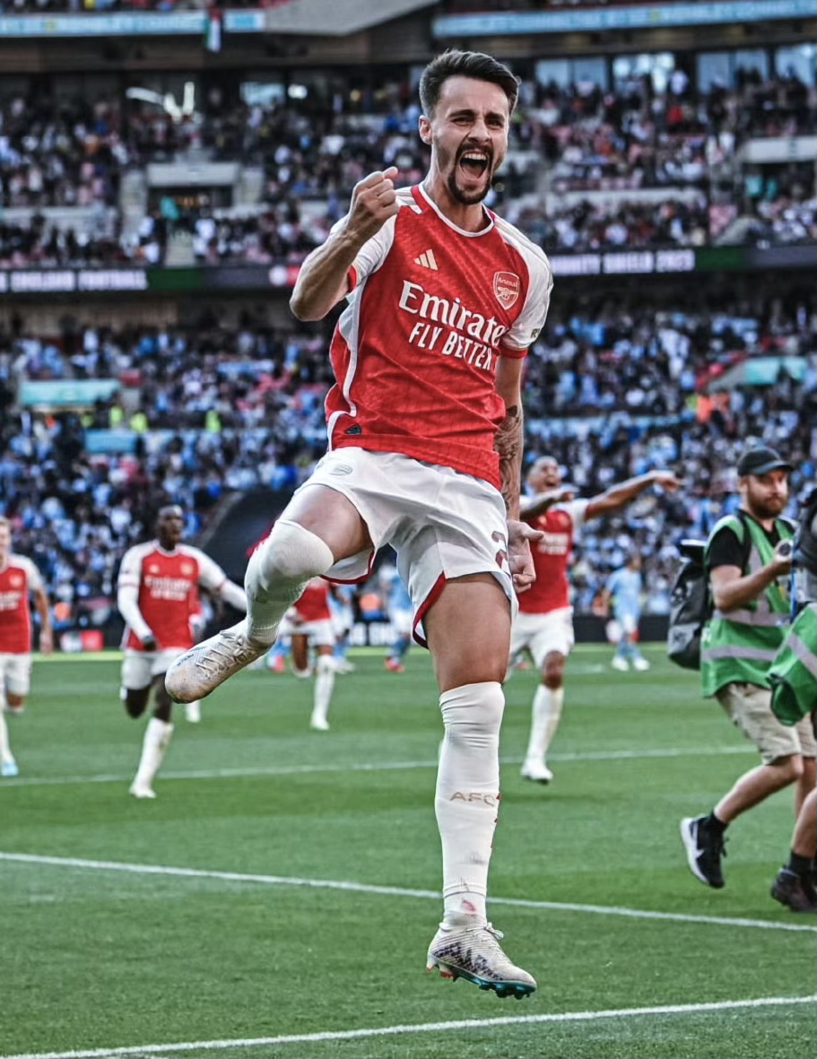 葡萄牙法比奥带伤奉献献身球场的简单介绍