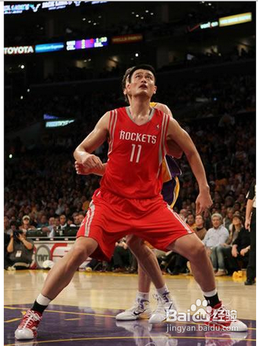 篮板球王继续统治篮球场，无人可挡的简单介绍