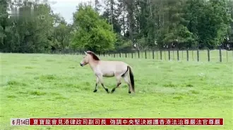 开云APP-捷克纽伦堡客场被科特布斯击溃