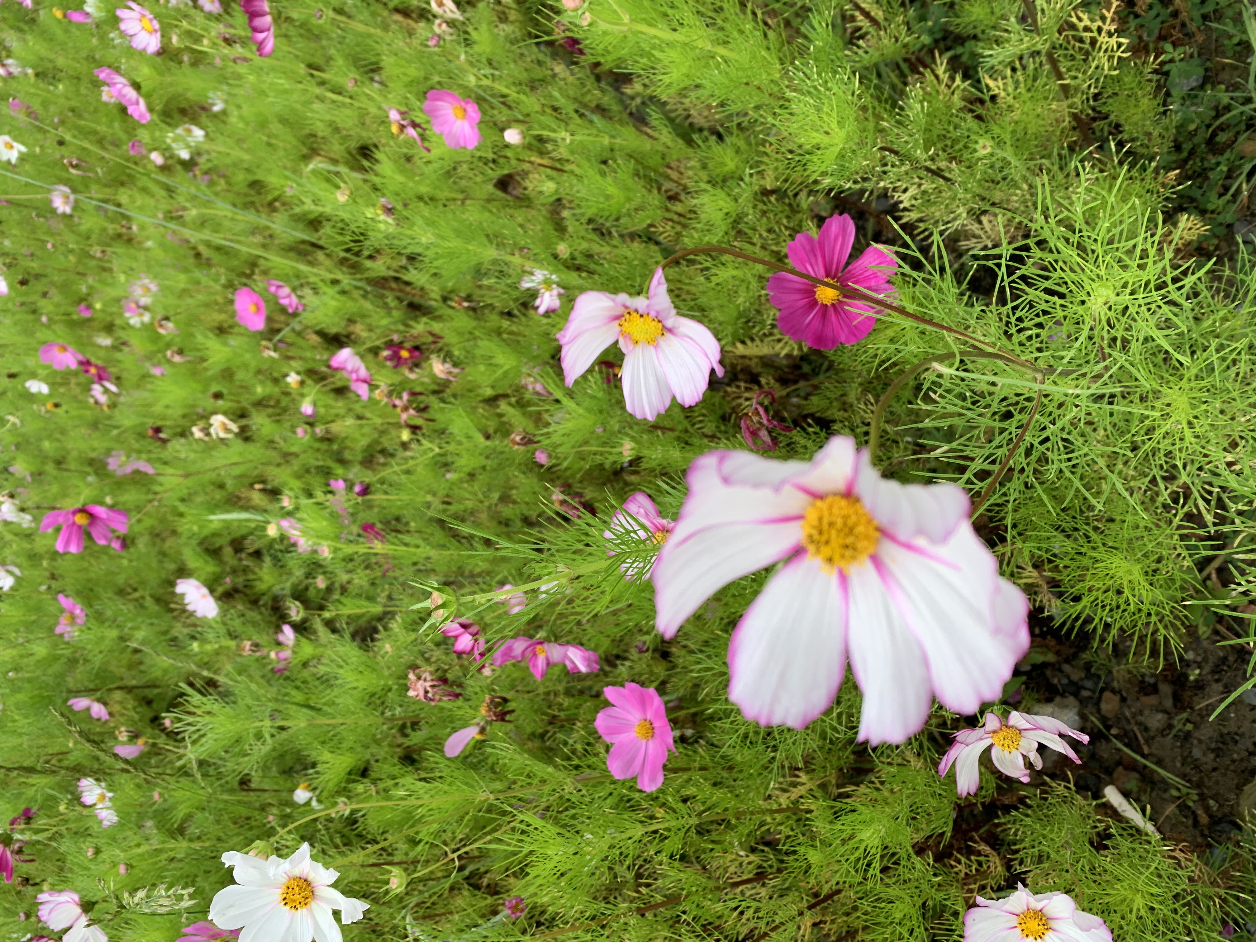 关于精彩瞬间的重温让人心情激动的信息 关于精彩瞬间的重温让人心情激动的信息