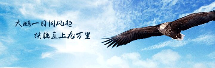 开云体育官网-包含锦标赛上，一位老将再次扬风起浪的词条