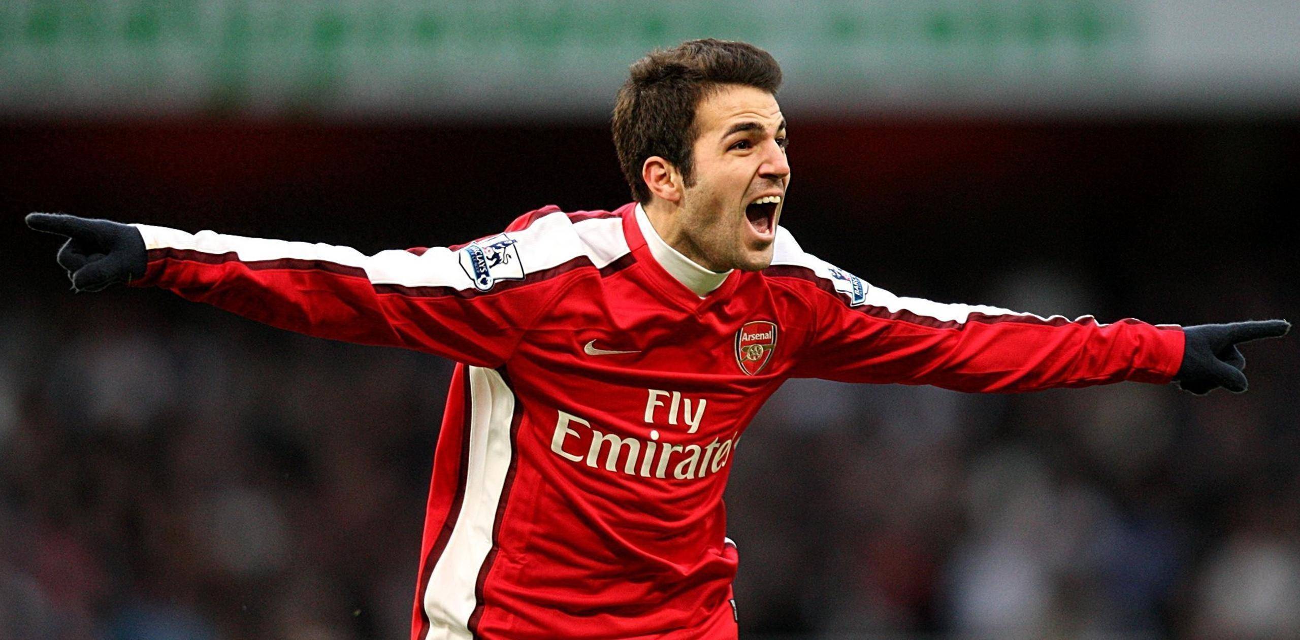 开云体育登录-包含阿森纳门将神勇发挥，帮助球队守住胜果的词条