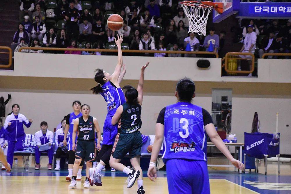 开云体育app-越南篮球友谊赛开球，各方球队力求夺冠历史时刻到来的简单介绍