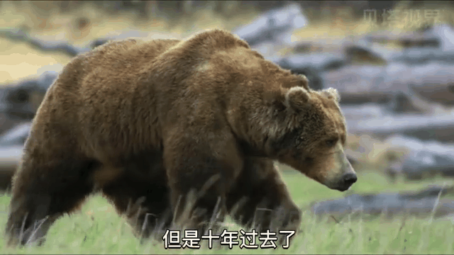 开云体育在线-阿根廷拉普拉塔对决亚特兰大，谁将在比赛中获胜？的简单介绍