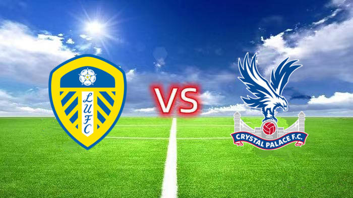 水晶宫主场告捷，走在保级之路的简单介绍