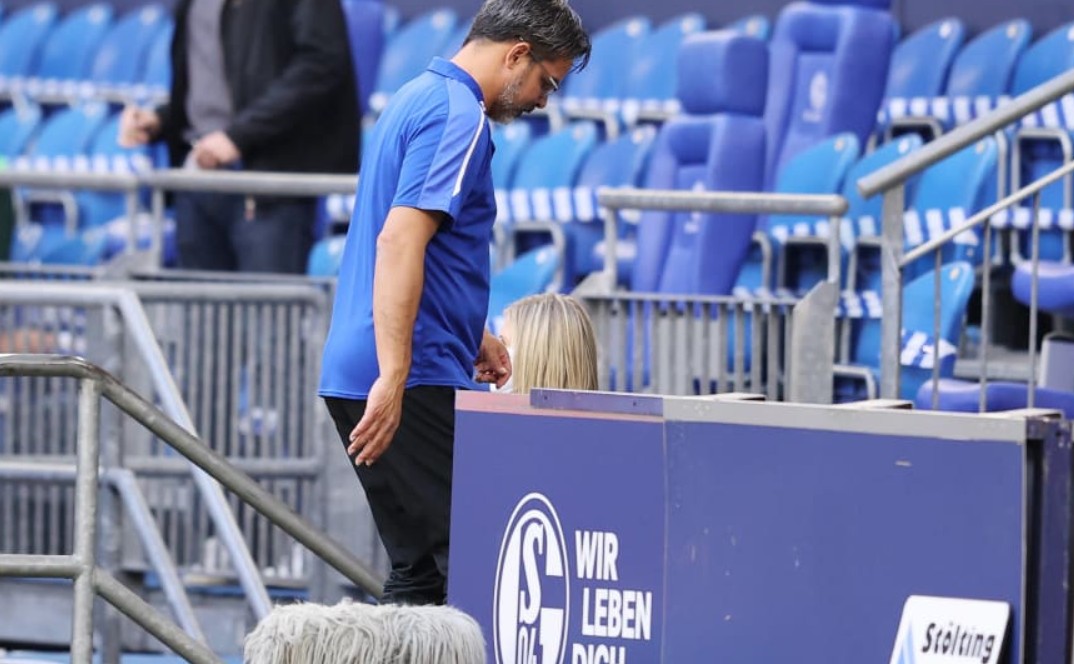 开云体育在线-沙尔克主场失利，降至积分榜倒数第三的简单介绍