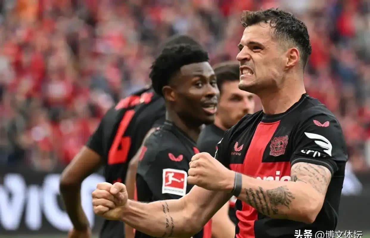 勒沃库森主场告捷，继续保持升势的简单介绍