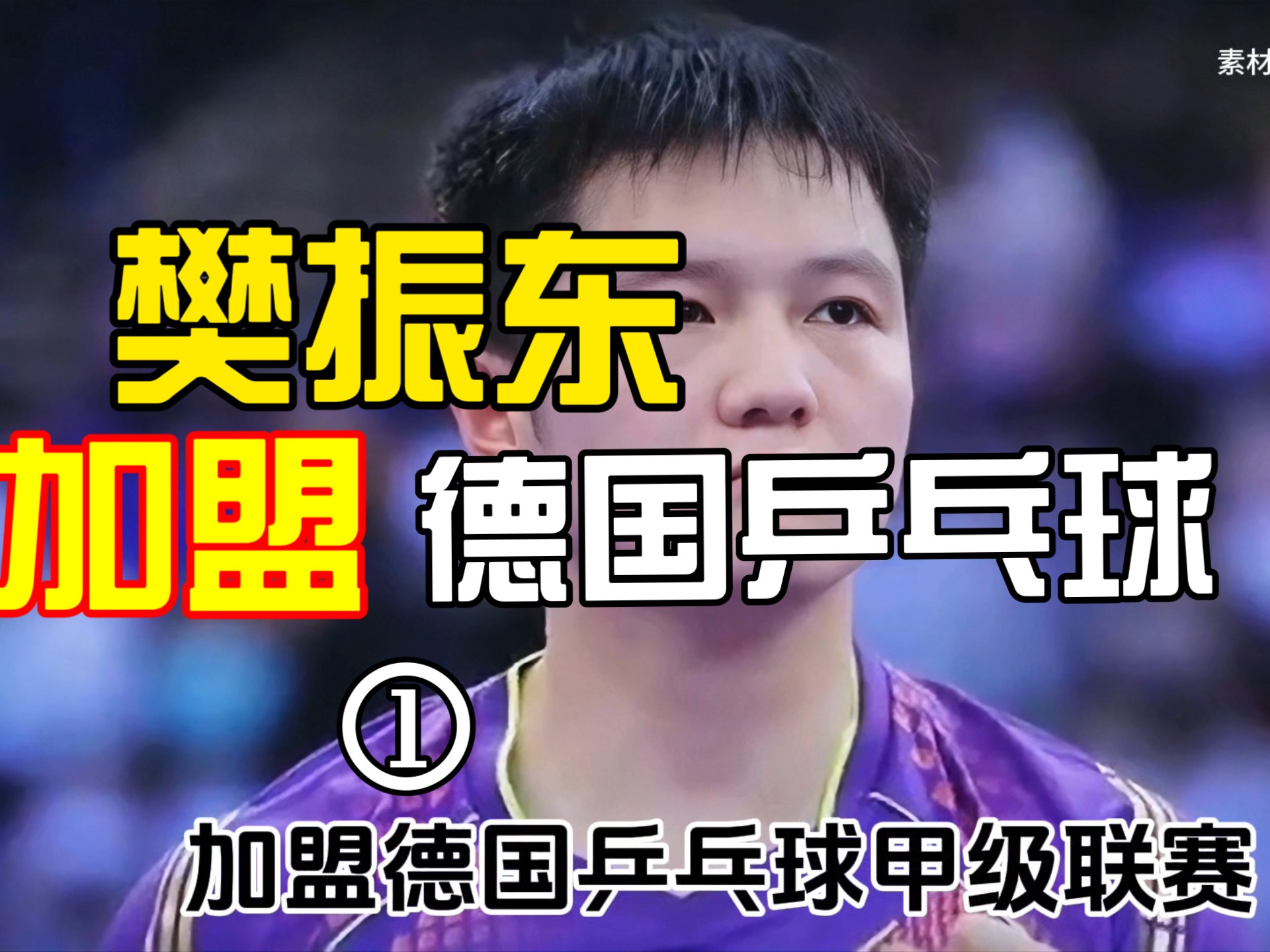 日本乒乓球队翻盘德国乒乓球队,樊振东爆发神勇的简单介绍 日本乒乓球队翻盘德国乒乓球队,樊振东爆发神勇的简单介绍