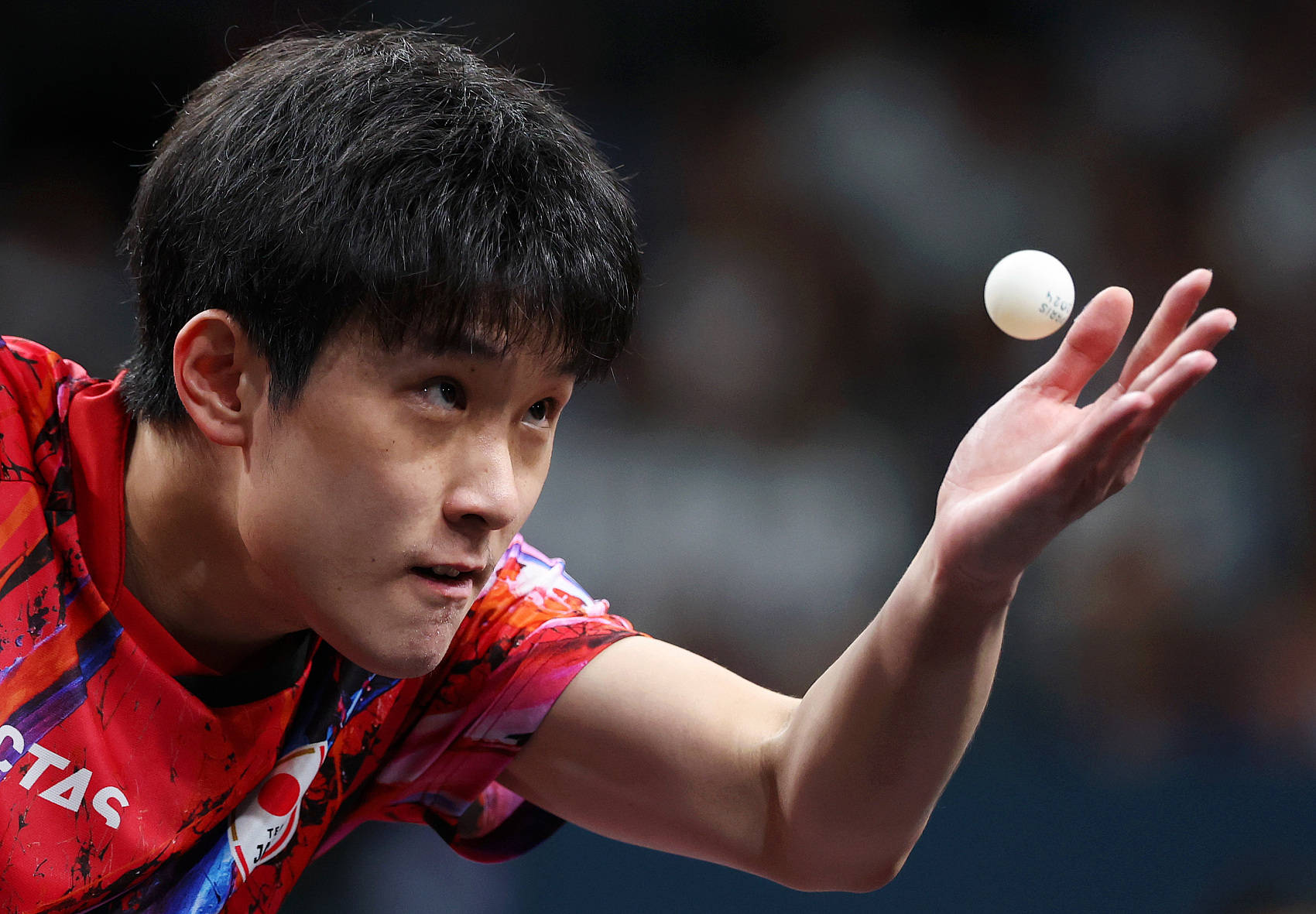 开云官网-韩国乒乓球队翻盘法国乒乓球队，张本智和制霸全场的简单介绍