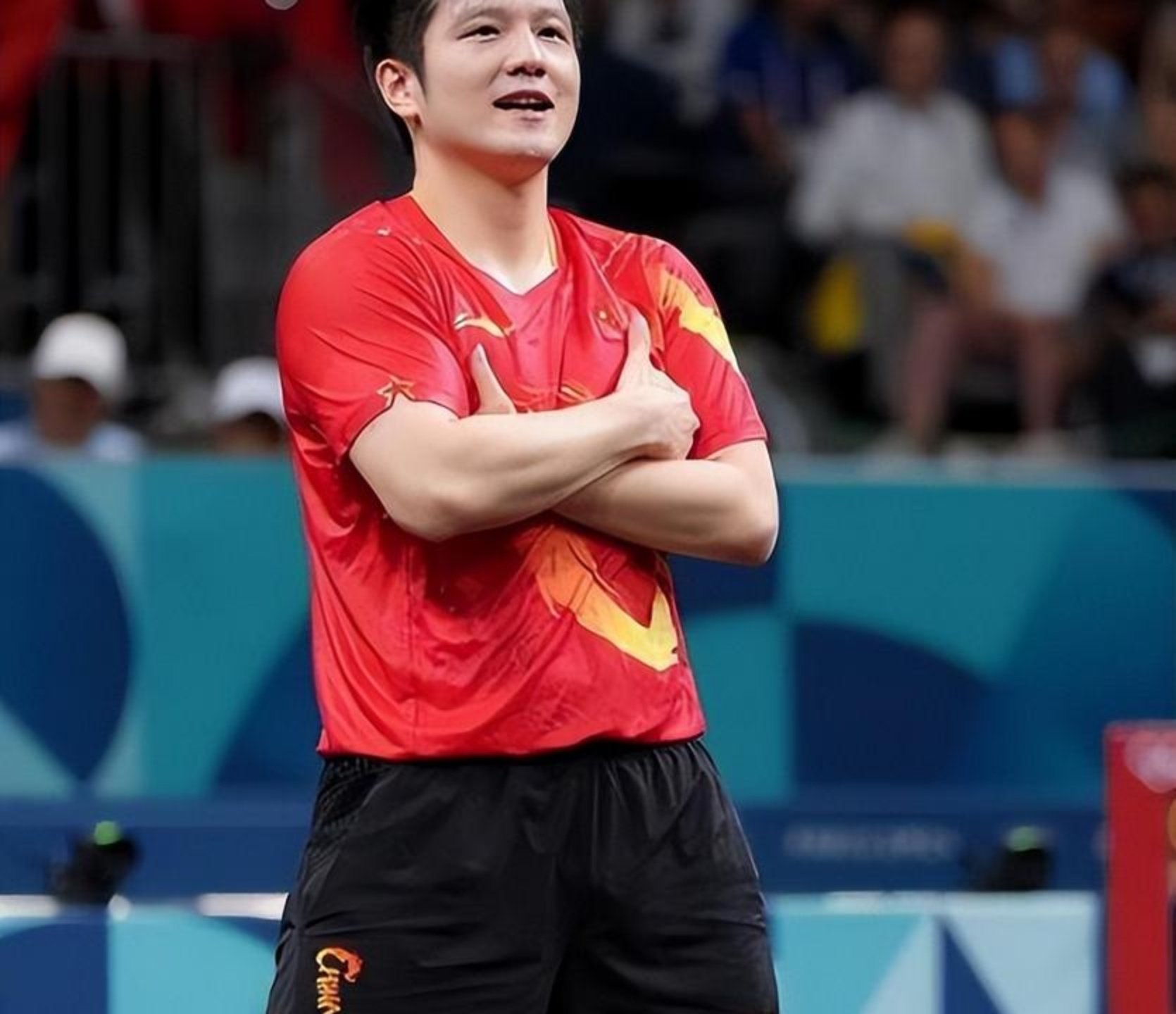 波兰乒乓球队横扫奥地利乒乓球队，樊振东爆发神勇的简单介绍