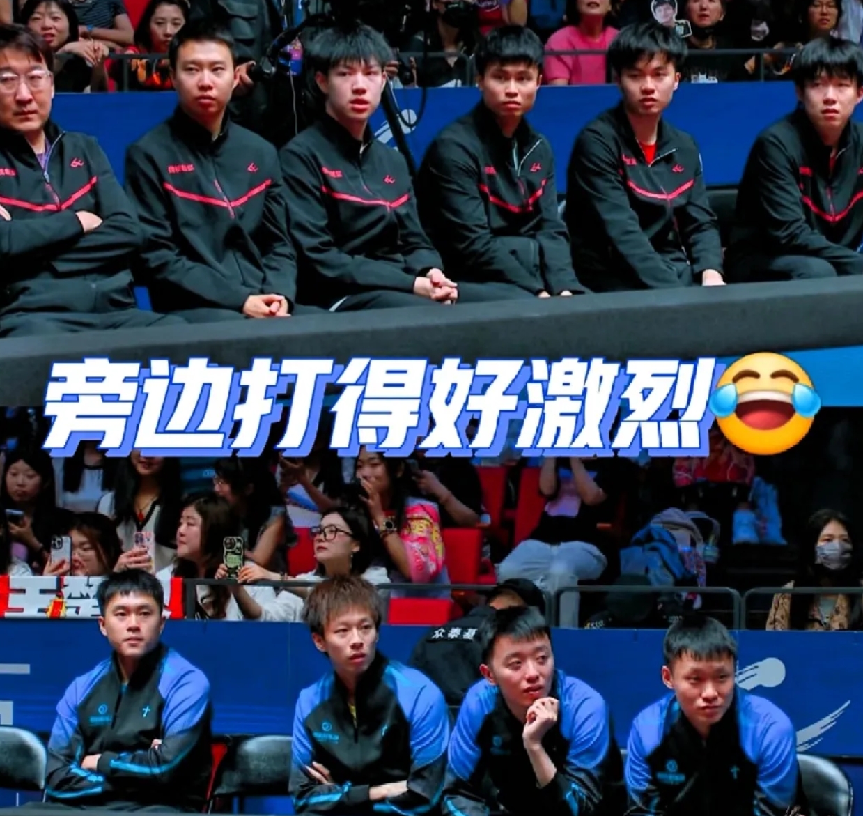 爆冷！乒乓球强队意外出局震惊全场的简单介绍