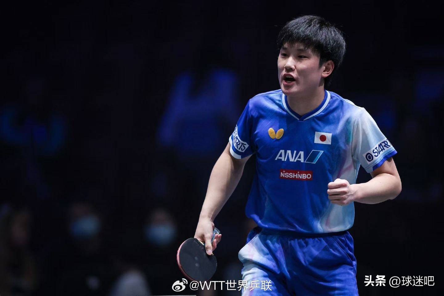 关于德国队力克葡萄牙队,张本智和刷新纪录的信息 关于德国队力克葡萄牙队,张本智和刷新纪录的信息