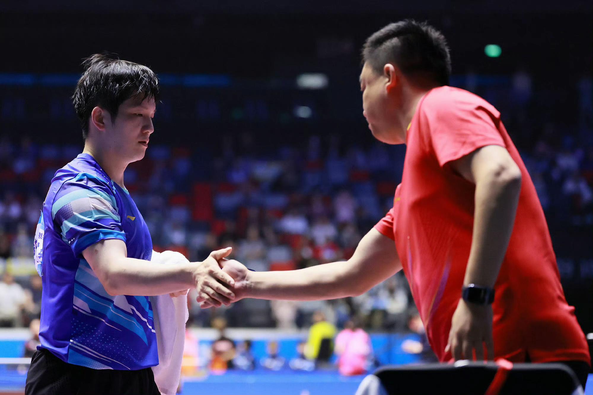 德国队碾压日本队，樊振东带队取胜的简单介绍